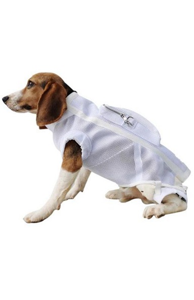 犬马甲